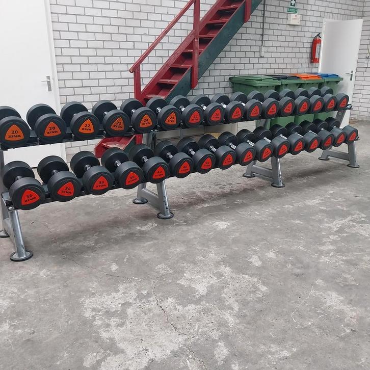 Ziva Pu Urethane Dumbells Set 20 tot 50 kilo + Dumbellrek, Sport en Fitness, Fitnessmaterialen, Zo goed als nieuw, Ophalen