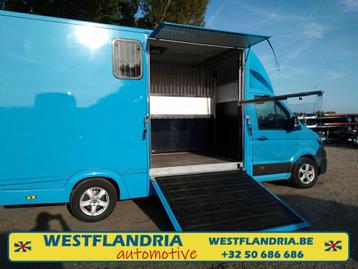 VW Crafter Horsetruck beschikbaar voor biedingen