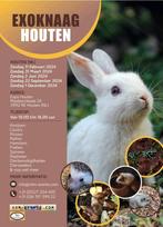 Exoknaag&Terraria Houten 31-03-2024 Nederlands groo, Animaux & Accessoires, Rongeurs