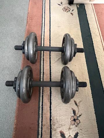 Halters met 7,50kg gewicht aan beschikbaar voor biedingen