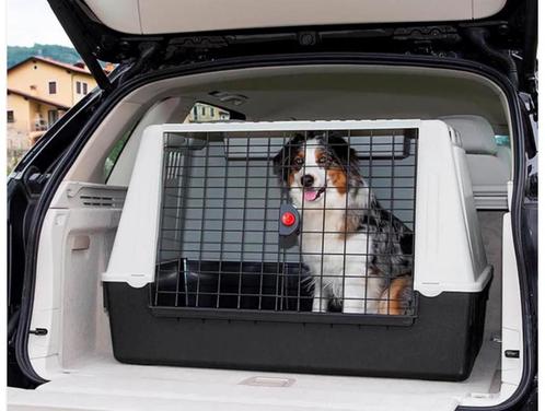 Transportbox (voor Honden of Katten), Dieren en Toebehoren, Overige Dieren-accessoires, Zo goed als nieuw, Ophalen