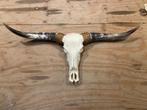 Longhoorn skull dierenschedel longhorn skulls dierenhoofd, Nieuw, Verzenden