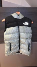 Bodywarmer, Ophalen, Nieuw, Maat 46 (S) of kleiner, Groen