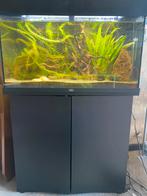 Juwel Rio 125L aquarium
