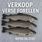 FOREL TE KOOP, Ophalen, Nieuw, Overige typen