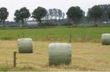 Top foin spécialement pour les chevaux et les poneys, Vermifugé