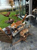 Jacht opgezette dieren, Enlèvement