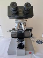 microscope, Microscope Stéréo, Enlèvement, Utilisé