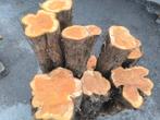 Taxus voor Draaiwerk, Tuin en Terras, Brandhout, Ophalen, Stammen