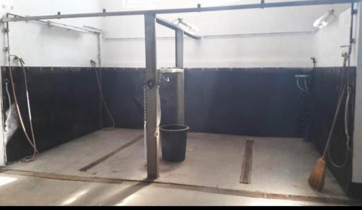 Séparation de douche et séparation de solarium, Dieren en Toebehoren, Stalling en Weidegang, Accessoires, 2 of 3 paarden of pony's
