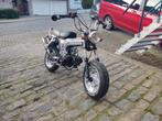 Honda Dax Skyteam B klasse 5.5L, Fietsen en Brommers, Ophalen, 49 cc, 4 versnellingen, Klasse B (45 km/u)