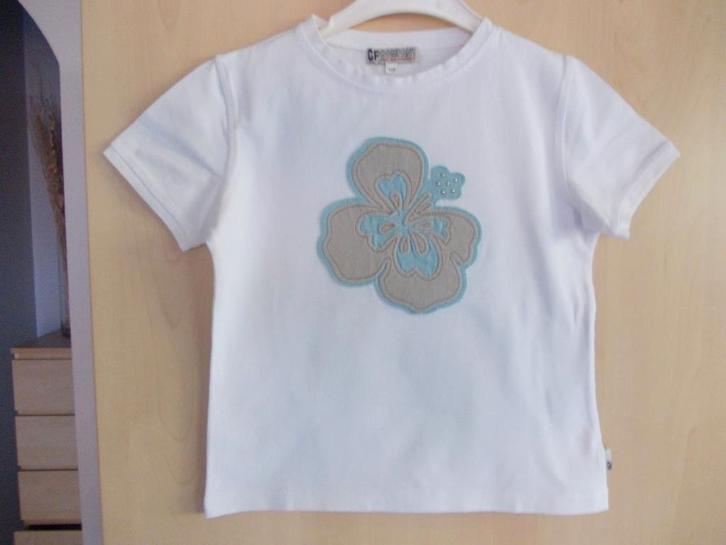 Tshirts verschillende Grote Merken. maat 116 maat 128 Meisje, Kinderen en Baby's, Kinderkleding | Maat 116, Zo goed als nieuw