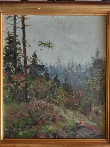 A. Stepanov 1858-1923 , landschap  beschikbaar voor biedingen
