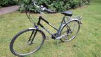 Studentenfiets Stationsfiets GIANT 21v nieuwe rem en lichten, Fietsen en Brommers, Fietsen | Dames | Damesfietsen, Ophalen, Versnellingen