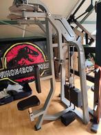Reverse fly/pec dec fitness, Sport en Fitness, Fitnessmaterialen, Ophalen, Gebruikt, Rug, Overige typen