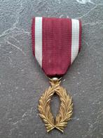 medailles, Ophalen of Verzenden, Overige soorten, Lintje, Medaille of Wings