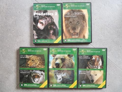 5 DVD's BBC Wildlife Specials (per stuk mogelijk), CD & DVD, DVD | Documentaires & Films pédagogiques, Comme neuf, Nature, Tous les âges