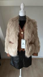 Joli blouson, Enlèvement ou Envoi, Neuf, Taille 36 (S), Beige