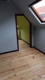 Peinture intérieur, Offres d'emploi, À partir de 10 ans