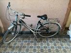 Damesfiets Thompson, Fietsen en Brommers, Fietsen | Dames | Damesfietsen, Ophalen, Gebruikt