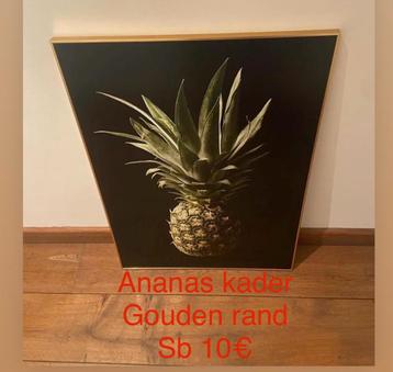 Kader ananas beschikbaar voor biedingen