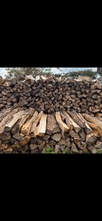 bois de chauffage, Jardin & Terrasse, 6 m³ ou plus, Enlèvement ou Envoi, Frêne, Bûches