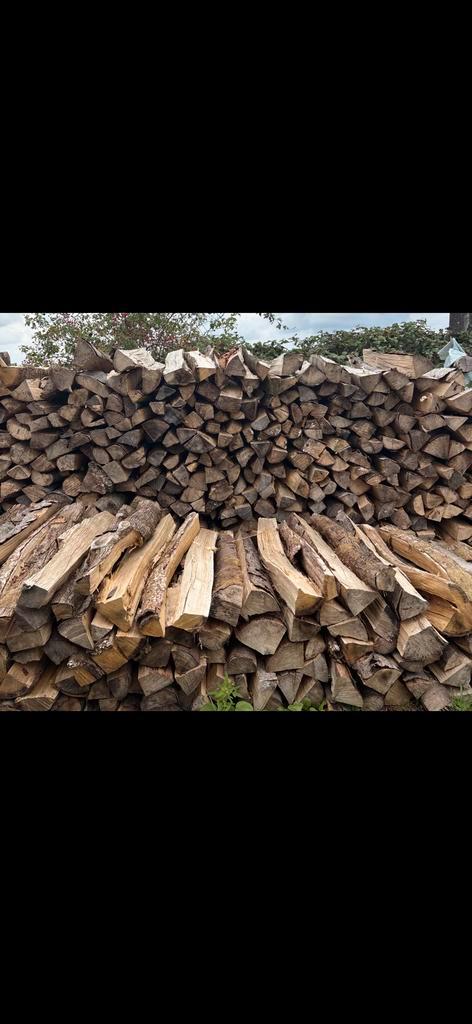 brandhout, Tuin en Terras, Brandhout, Blokken, Essenhout, 6 m³ of meer, Ophalen of Verzenden