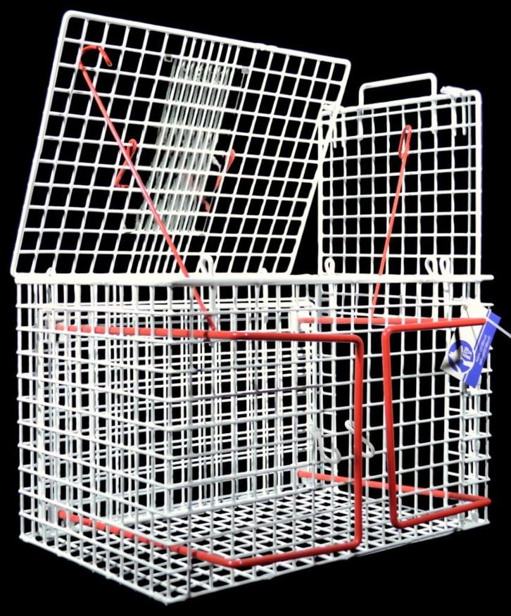 Transport / Dwangkooi met Boven / Zij Paneel wit, Dieren en Toebehoren, Transportboxen, Nieuw, Verzenden