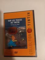 Sur les traces de tintin.  Tintin au Tibet.  Reportage, Ophalen of Verzenden, Zo goed als nieuw