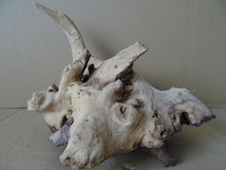 Curiosa houten beeld dier wortelhout wortelhouten beeld 23cm, Antiek en Kunst, Curiosa en Brocante, Ophalen of Verzenden