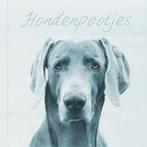 Hondenpootjes - Jo Scott - hondenboek - 9789045306803, Boeken, Verzenden, Honden