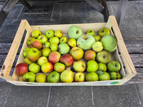 APPELEN EIGEN KWEEK - IDEAAL VOOR APPELMOES - SAP- GEBAK -, Diversen, Levensmiddelen, Ophalen