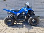 Yamaha Raptor YFM 90 90cc 2013, 90 cc, 11 kW of minder, 1 cilinder