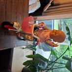 Baby born fiets, Kinderen en Baby's, Speelgoed | Poppen, Ophalen, Zo goed als nieuw, Overige typen