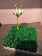 droogrek, Enlèvement, Neuf