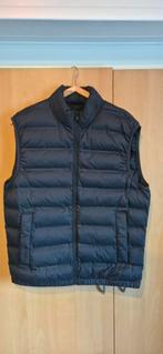 Bodywarmer JULES, Neuf, Jules, Enlèvement, Taille 48/50 (M)
