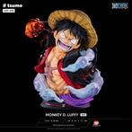 Luffy MUB tsume, Enlèvement