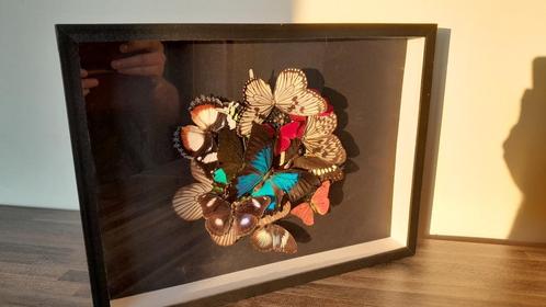 Cadre décoration de papillons (neuf), Antiquités & Art, Curiosités & Brocante, Enlèvement ou Envoi