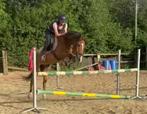 Bijrijder aangeboden, Dieren en Toebehoren, Pony's