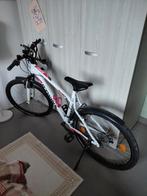 B twin rockrider, Neuf, Femmes, Enlèvement, 53 à 57 cm