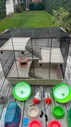 Hamsterkooi  met allerlei benodigdheden, Dieren en Toebehoren, Ophalen, Gebruikt, Kooi