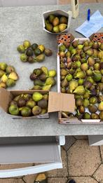 Verse vijgen 80 stuks, Ophalen