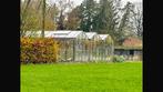Serre. 12,90 meter x 9,60 meter.  Goot hoogte 2 meter, Tuin en Terras, Ophalen, Kweekkas, Zo goed als nieuw, Glas