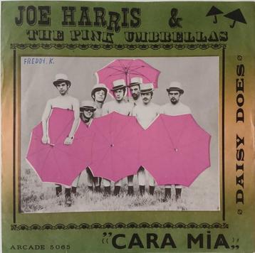 Vinyl single, Enlèvement, 1960 à 1980, Utilisé, Autres formats