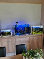 3 x aquariums, tout compris. Animaux, chauffage, filtre, air, Comme neuf, Enlèvement ou Envoi