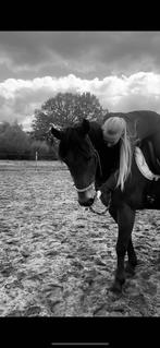 Stalhulp/verzorgster dieren aangeboden, Dieren en Toebehoren, Paarden