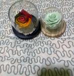 Rose éternelle, Maison & Meubles, Enlèvement