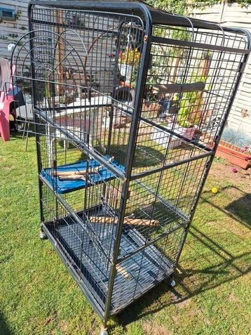 Dierenkooi  beschikbaar voor biedingen