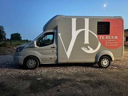 Stx 2 paard camionette te huur, Dieren en Toebehoren, Paarden en Pony's | Trailers en Aanhangwagens, Nieuw, 2-paards trailer, Aluminium