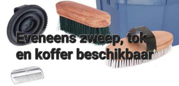 Paardengerief verzorgspullen met koffer rijpaardzweep en tok beschikbaar voor biedingen